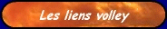 les liens volley